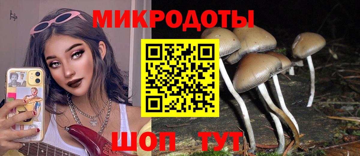 Псилоцибиновые грибы Cubensis  Вход с VPN  как найти закладки  Качканар 