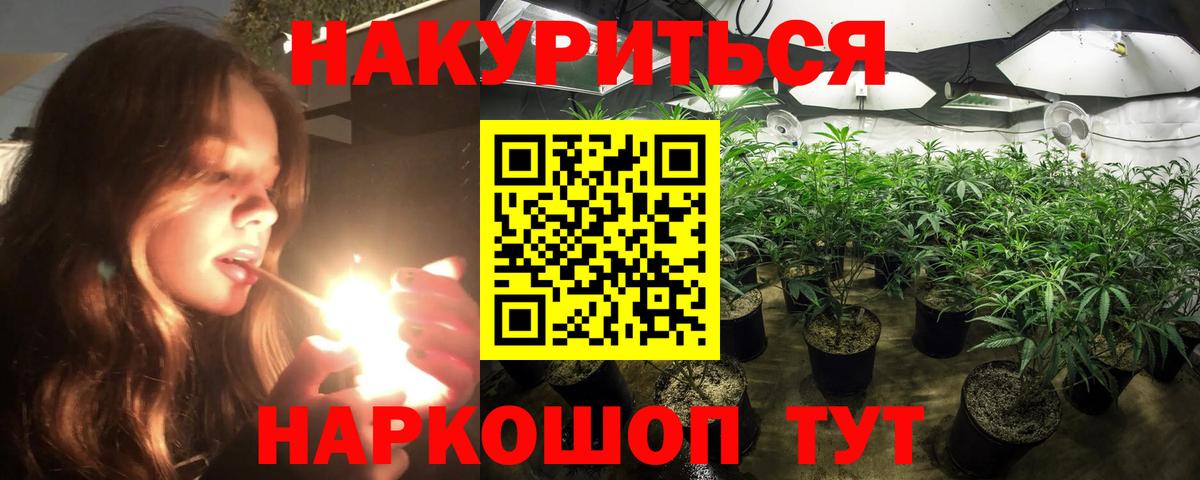 Марихуана план  Канабис сатива  Бошки марихуана Bruce Banner  Качканар  Вход с VPN 